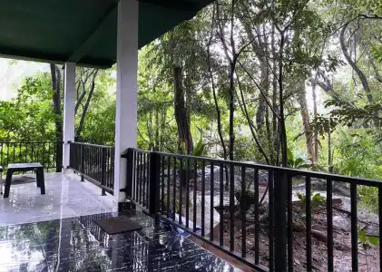 Green House - 31