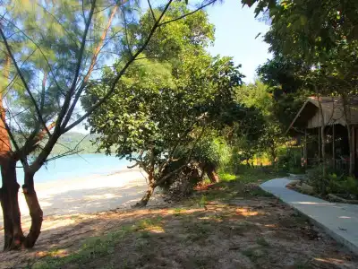 Heaven Beach Eco resort & Art - 7