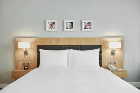Hilton Garden Inn Dubai, Mall Avenue - 33