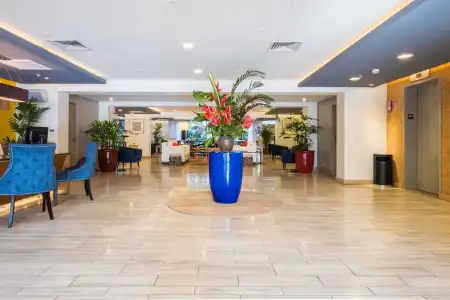 Vive Waikiki - 1