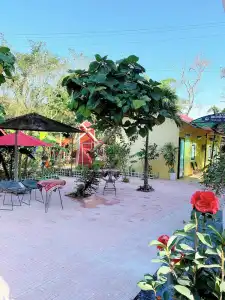 Hue Lotus Homestay - 51