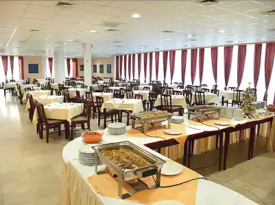 Kamelija - 14