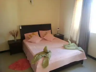 Villa Narmada - 44