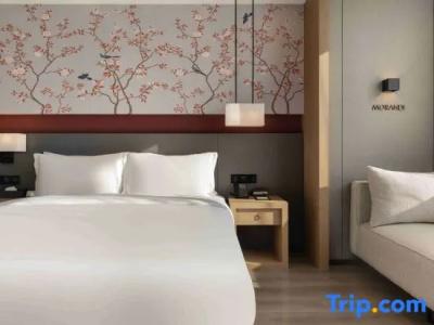 Tetora Spirit Sapporo - 39