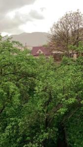 Areguni Guest House - 23