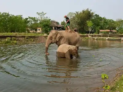 Sapana Village Lodge - 29