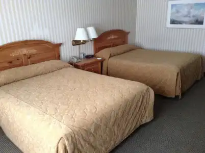 Royal Garden Inn - 1