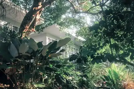 The Hidden Resort & Restaurant - 33