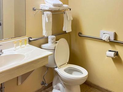 Comfort Inn & Suites Madison East Interstate I-90 - 7