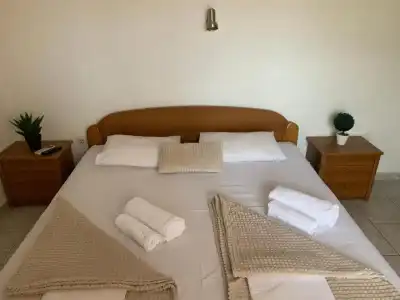 Guesthouse Orlović - 14