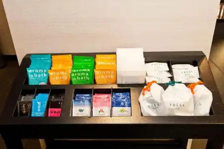 Sotetsu Fresa Inn Ochanomizu Jimbocho - 31