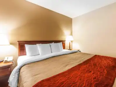 Comfort Inn & Suites Chattanooga West - Lookout Mountain - 42