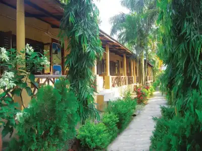 Rainbow Safari Resort - 19