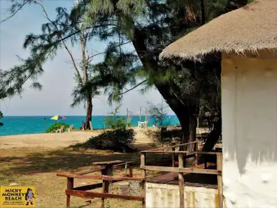 Micky Monkey Beach Phuket Maikhao Thailand - 15