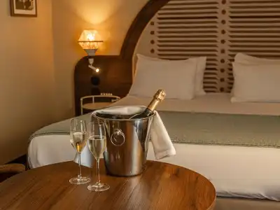 Mercure Arles Centre Arenes - 56