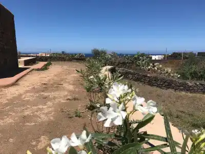 I Dammusini di Pantelleria - 97