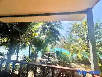 Tongta Phaview - 88