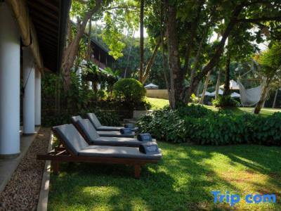 Eraeliya Villas & Gardens - 242