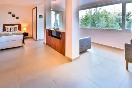 Olea Nova - 63