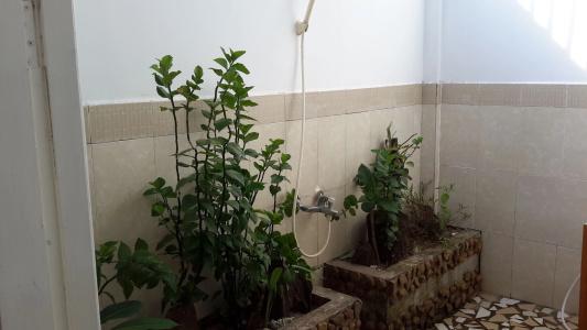 Bamboo Cottages - 12