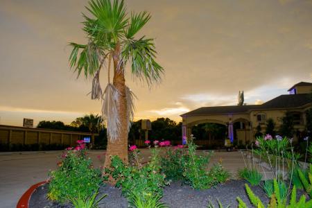 Motel 6 Houston, TX – Willowbrook Mall - 10