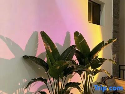 Fairy Sister Boutique Inn - 51