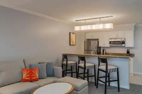 Hyatt Regency Clearwater Beach Resort & Spa - 40