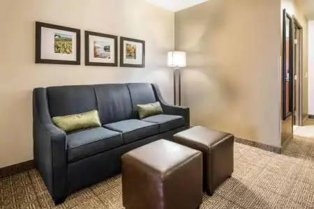 Comfort Suites at Par 4 Resort - 46