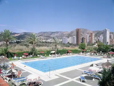 Caballo de Oro - 11