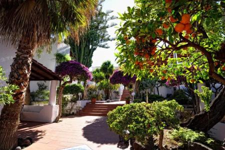 Gattopardo Park - 42
