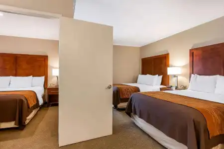 Comfort Inn Santa Monica - West Los Angeles - 57