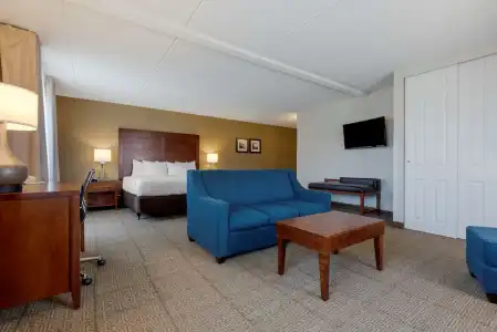 Comfort Inn The Pointe - 6