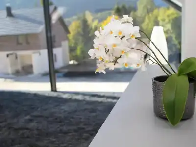 Vila Edelweiss Rooms&App Kranjska Gora - 31