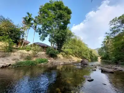 Khaosok Rainforest Resort - 140