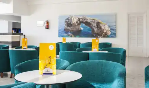 Globales Mimosa - 1