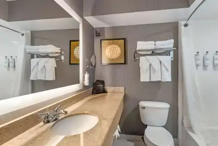 Best Western Premier Richmond City Gateway - 91
