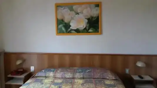 Giardino - 4