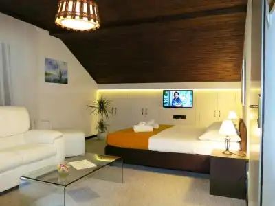 Villa Mukinja - Wellness & Spa - 43