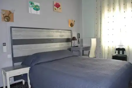 Hôtel Le Dauphin Bleu - 43