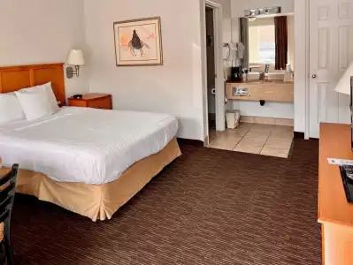 St. George Inn & Suites - 67