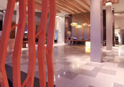 Kalima Resort & Spa - 15