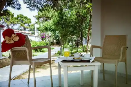 Mimoza Beach - 45
