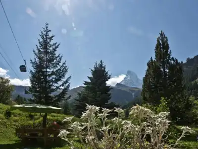 Hotel-Garni Plateau Rosa - 30
