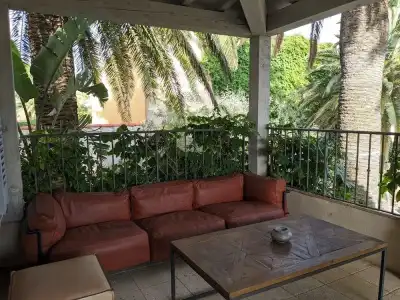 Pastis Saint-Tropez - 30