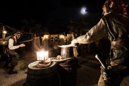 Hôtel Cap Pirate - 32