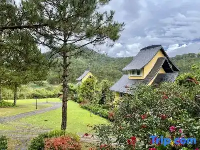 Binh An Village Dalat Resort - 151