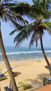 Hansa Surf - 25