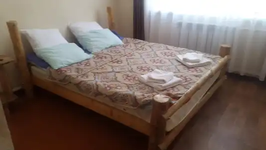 Snow Leopard Hostel - 29
