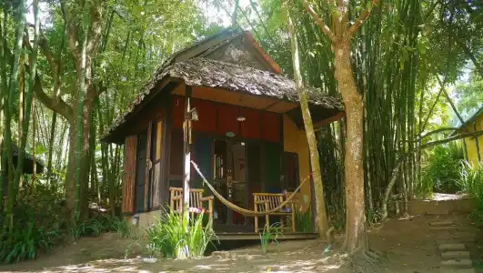 Khun Nai Tern Sai - Adults Only - 46