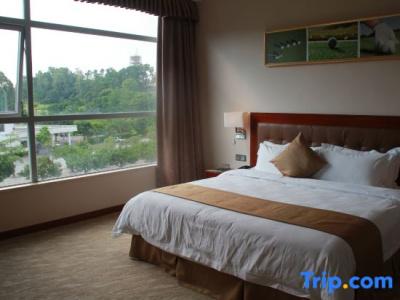 Phoenix Hill Dongguan - 54